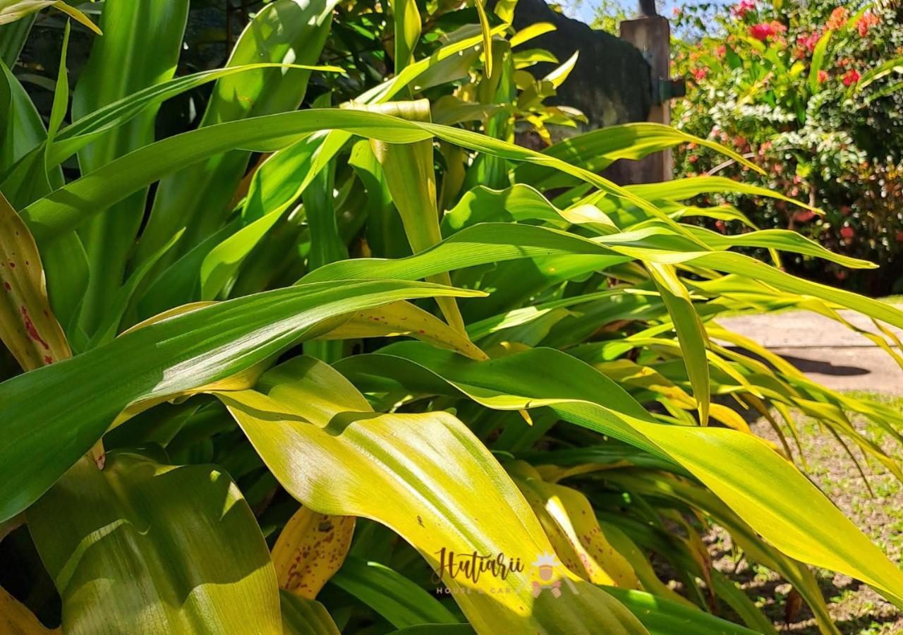 Hutiarii House & Car & Excursions Raiatea Tevaitoa Exterior foto